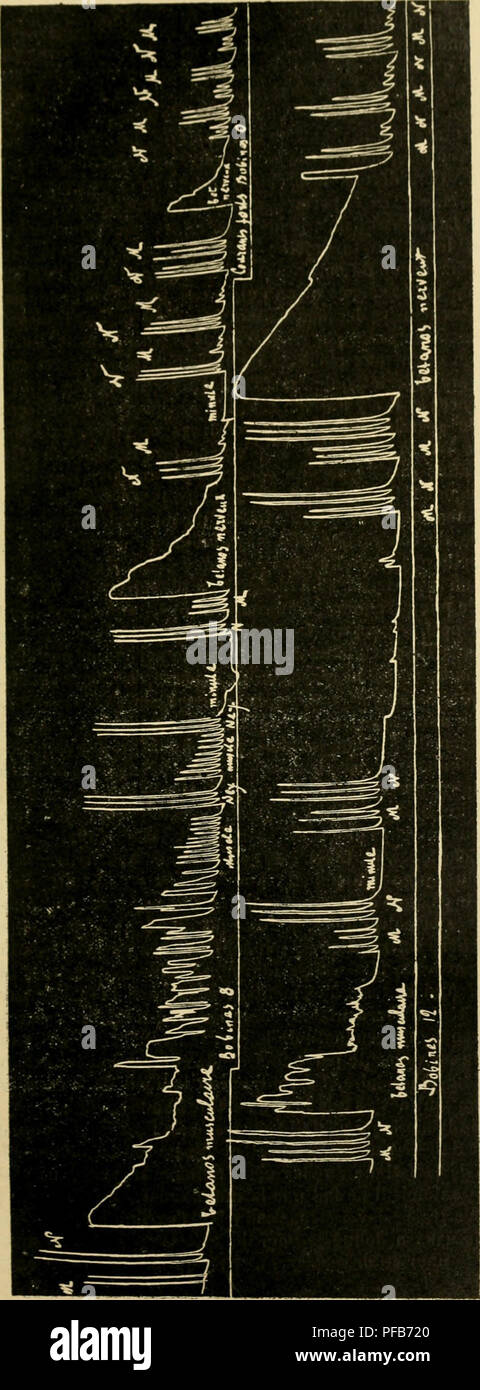 Zf 2 Immagini E Fotos Stock Alamy Zf 2 Immagini E Fotos Stock Alamy
