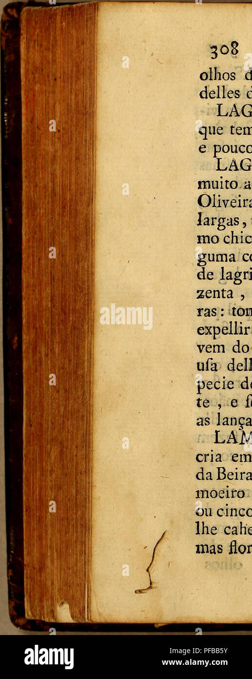 . Diccionario portuguez das plantas, arbustos, matas, arvores, animaes quadrupedes, e reptis, ayes, peixes, mariscos, insectos, gomas, metaes, pedras, terras, mineraes, &amp;c. : Que una Divina Omnipotencia creou nessun globo terraqueo para utilidade viventes dos,. I nomi delle piante, popolare; animali; mineralogia; storia naturale. Diccíonario olhos dous cominhos , e nas pontí delles duas continhas negras. LAGOSTIM. Marifeo pequenc que tem mefma una figura da Lagoíh e pouco maior que Camarão. LAGRIMAS. Planta, que crefc muito alta, tem come folhas como come d Oliveira, poílo que mais brandas 9 largas, e produz hu Foto Stock