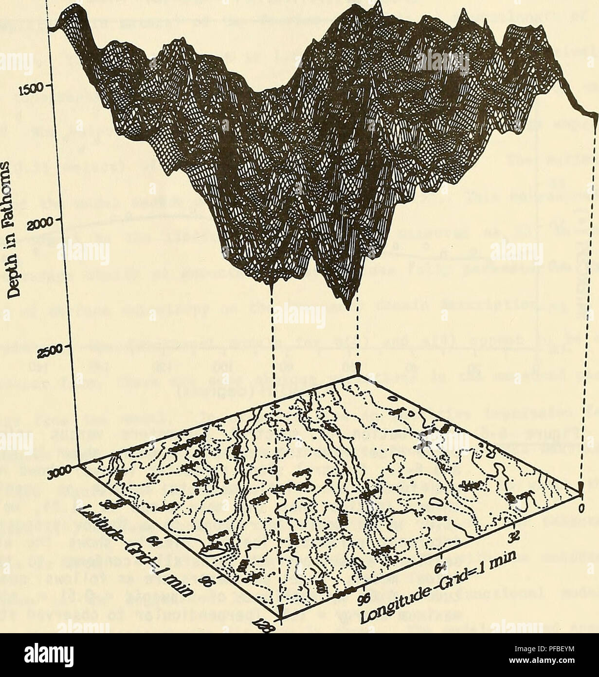 . Descrizione, analisi e previsioni del mare piano rugosità utilizzando modelli spettrali. Fondo dell'oceano; geologia sottomarini. lOOO SASS batimetria - Gorda aumento. La Figura 6-5 rappresentazione grafica del Sass batimetria dati proiettati su un distanziati in modo regolare la griglia. Illustrazione utilizza 128 x 128 punti distanziati di 0,1 minuti di latitudine e longitudine senza proiezione cartografica. Analisi di Fourier è stato per- formata su 256 punti da un 0,05 minuto griglia. Sciopero misurata del lineations è di circa 25° azimuth. Punto di vista è da Nordest. 91. Si prega di notare che queste immagini vengono estratte dalla scansione pa Foto Stock