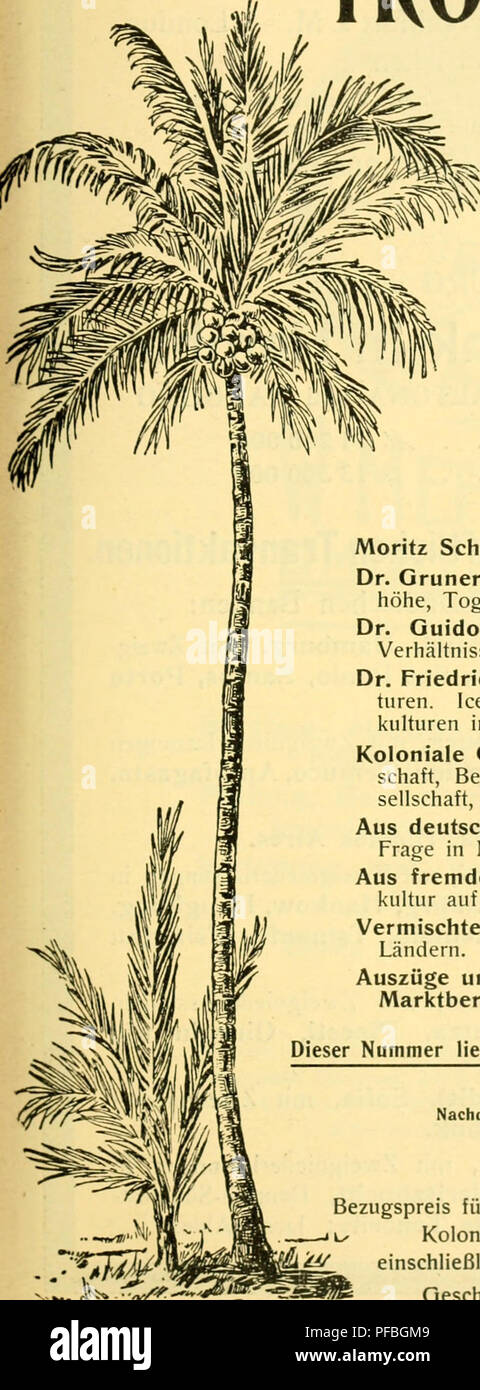 . Der Tropenpflanzer; zeitschrift fr tropische landwirtschaft. Piante tropicali; raccolti tropicali. 17. Jahrgang. No. 6. Juni 1913. DER. TROPENPFLANZER Zeitschrift für Tropische Landwirtschaft. Organ des Komitees Kolonial-Wirtschaftlichen Wirtschaftlicher Ausschuß der Deutschen Kolonialgeseilschaft Herausgegeben O. Warburg Berlino. F. Wohltmann Halle a. Saale. Inhaltsverzeichnis. Moritz Schanz, Die brasilianische Kaffeevalorisation. S. 281. Il dott. Grüner, Weitere Beiträge über die Ölpalme im Bezirk Misa- höhe, Togo. S. 285. Il dott. Guido A. R. Borghesani, Tripolis' landwirtschaftliche Verhältnisse. (Schlu Foto Stock