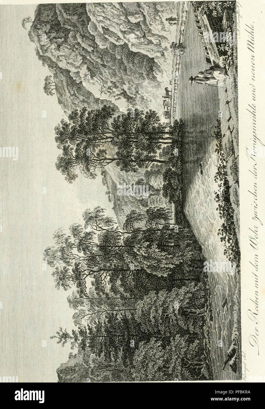 . Der Plauische Grund bei Dresden : mit Hinsicht auf Naturgeschichte und schöne Gartenkunst. Architettura del paesaggio; insetti; storia naturale. . Si prega di notare che queste immagini vengono estratte dalla pagina sottoposta a scansione di immagini che possono essere state migliorate digitalmente per la leggibilità - Colorazione e aspetto di queste illustrazioni potrebbero non perfettamente assomigliano al lavoro originale. Becker, Wilhelm Gottlieb, 1753-1813; Darnstedt, Johann Adolph, 1769-1844. Nürnberg : In der Kunsthandlung Frauenholzischen Foto Stock