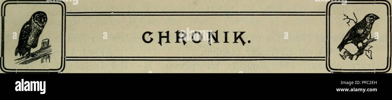 . Der Ornithologische Beobachter. Gli uccelli; uccelli. 45 - Im Anschluss mache ich noch auf zwei Futterfinden auf- merksam, die von der Firma Dederichs &AMP; Co. a Elberfeld empfohlen werden. Es sind dieses das Futterhaus "Natur- holz" mit heizbarem Trinkwasserbehälter und dazugehörigem Brennkörper von sechs Stunden Brennzeit (Fig. 5) und der Meisen-Futterapparat (Fig. 6). Un Orten, wro den Vögeln während des strengen inverni keine Trinkgelegenheit geboten ist, dürfte der heizbare Trinkwasserbehälter sehr gute Dienste leisten. Recht brauchbare Futterfinden lässt auch der Ornitko- Verei logische Foto Stock