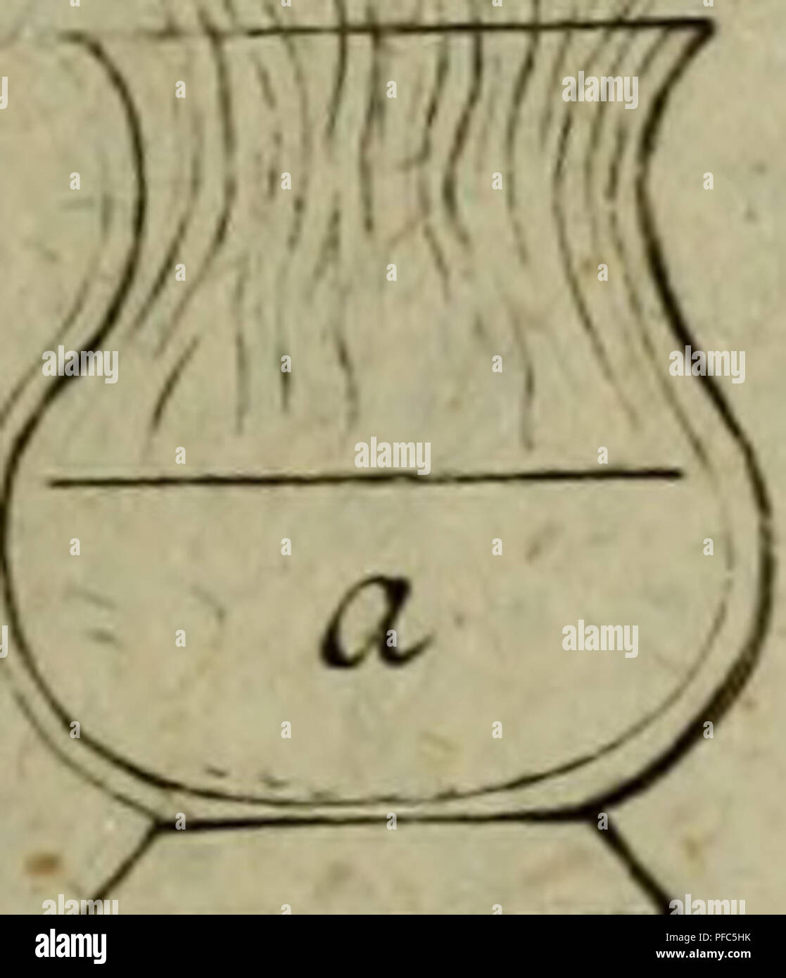 . Der Hausvater ... Agricoltura; economia domestica; botanica; Agricoltura; scienza; piante. h k * 7^, Ju^. 27- ^-103.10 7 2^ . 33-.M. 121 . iiM. k j j^vhA 2 " o "Tiß .35.S.a. 1^-g.M.jr.n°^^ß TLQ.yz.f.ni. Si prega di notare che queste immagini vengono estratte dalla pagina sottoposta a scansione di immagini che possono essere state migliorate digitalmente per la leggibilità - Colorazione e aspetto di queste illustrazioni potrebbero non perfettamente assomigliano al lavoro originale. Münchhausen, Otto, Freiherr von, 1716-1774. Hannover, Försters und Erben Sohns Foto Stock