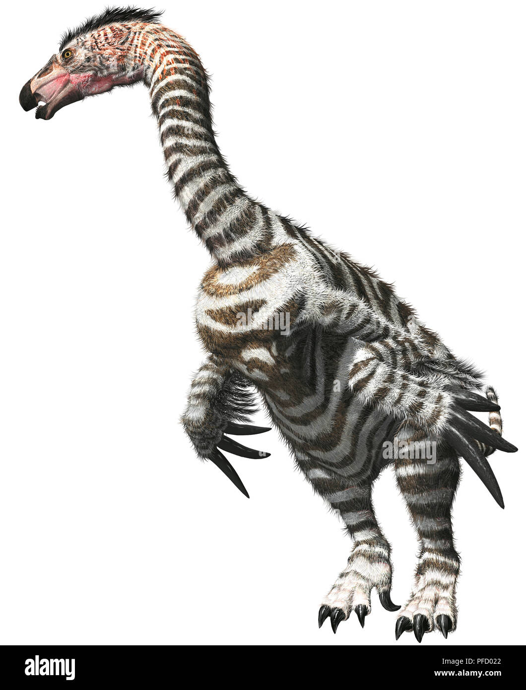 Therizinosaurus, falce lizard, ofside vista. Foto Stock