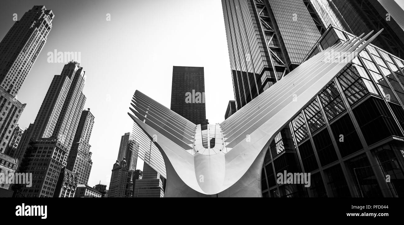 Situato nel complesso del World Trade Center, nell'ambito del Financial District di Manhattan a New York City. L'occhio è una stazione principale su t Foto Stock