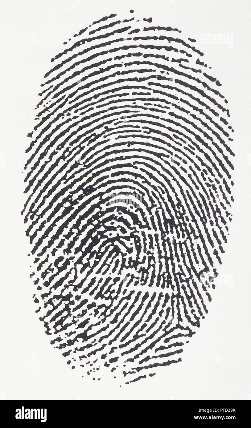 Impronte digitali. Foto Stock