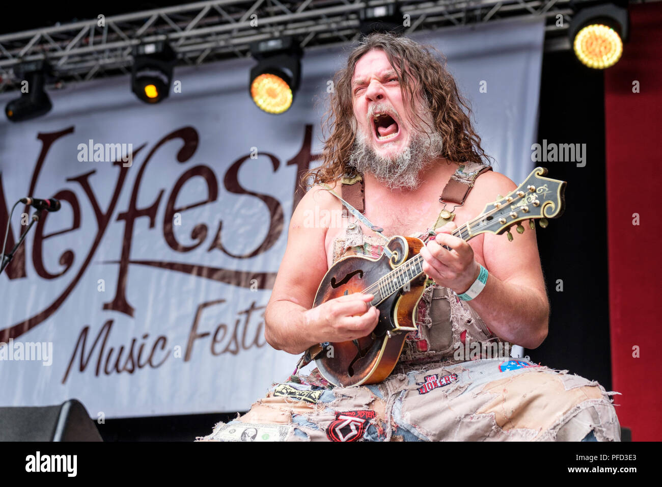 Hayseed Dixie (hippy di Joe Hymas) effettuando al Weyfest Music Festival, Tilford, UK. Agosto 18, 2018 Foto Stock