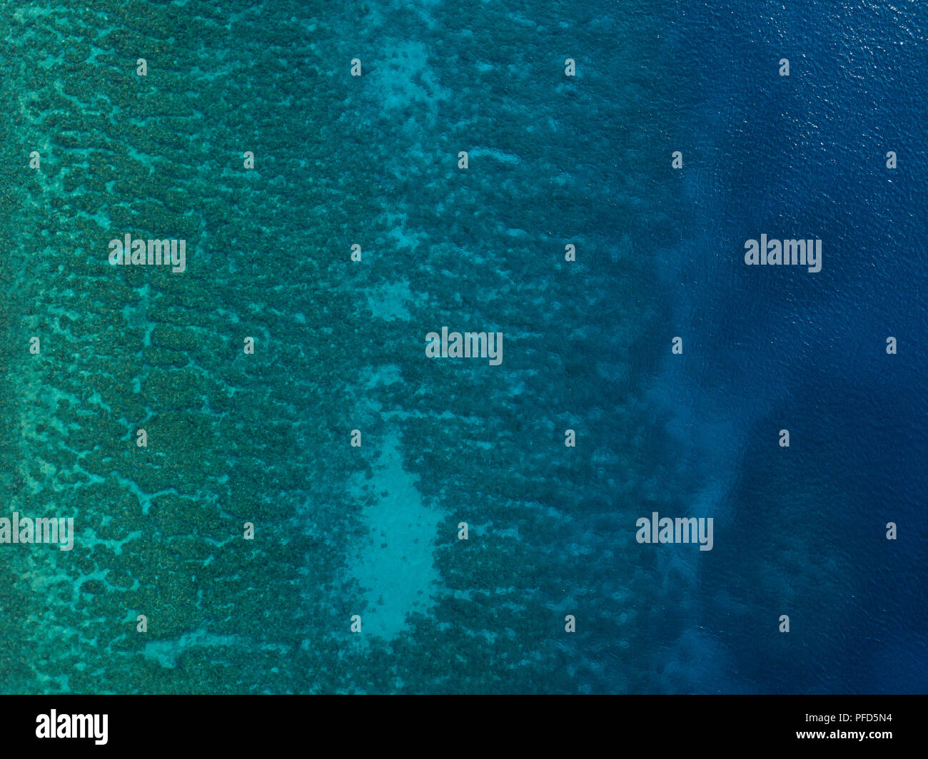 Drone foto guardando dritto verso il basso sull'oceano tropicale, con una bassa scogliera di corallo pendio sottostante. Parco Nazionale di Komodo, Indonesia Foto Stock