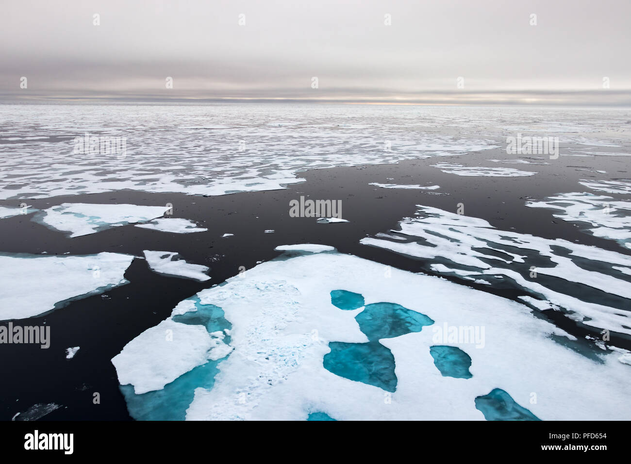 A nord di ghiaccio a bordo 82 41.01 gradi a nord dalle Svalbard, Oceano Artico, Norvegia. Foto Stock