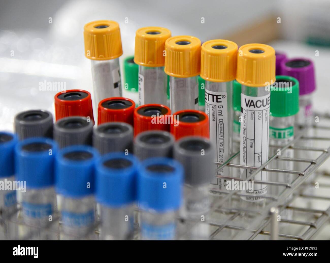 Maroon Surge è un 86MDG di evacuazione e di esercizio della cura di condurre la formazione congiunta. Foto Stock