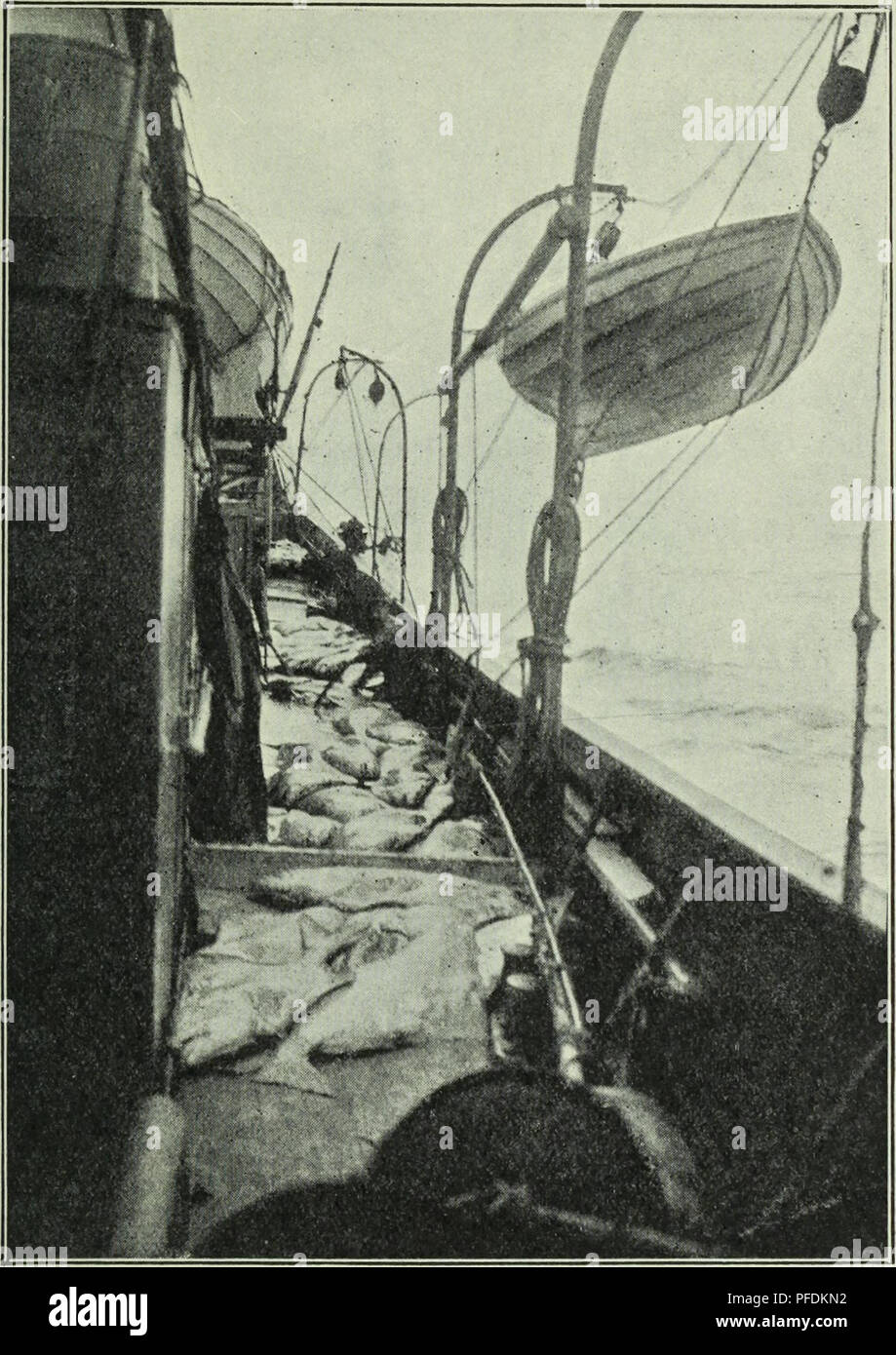 . La profondità dell'oceano; un conto generale della scienza moderna di oceanografia in gran parte basato su ricerche scientifiche del norvegese vaporizzatore Michael Sars nel Nord Atlantico. Oceanografia. Pesce di Mare-FONDO 455 in Islanda, si devono al tempo stesso tracciare il limite tra l'acqua fredda la fauna del bacino profondo e la fauna boreale della pendenza della costa altopiano. Entro questa regione boreale si possono distinguere diverse aree di distribuzione. Il ling, per esempio, è catturati al largo delle coste della Norvegia in abbondanza come lontano nord come Lofoten ; a nord delle Lofoten, tra la Isla Faerøer Foto Stock