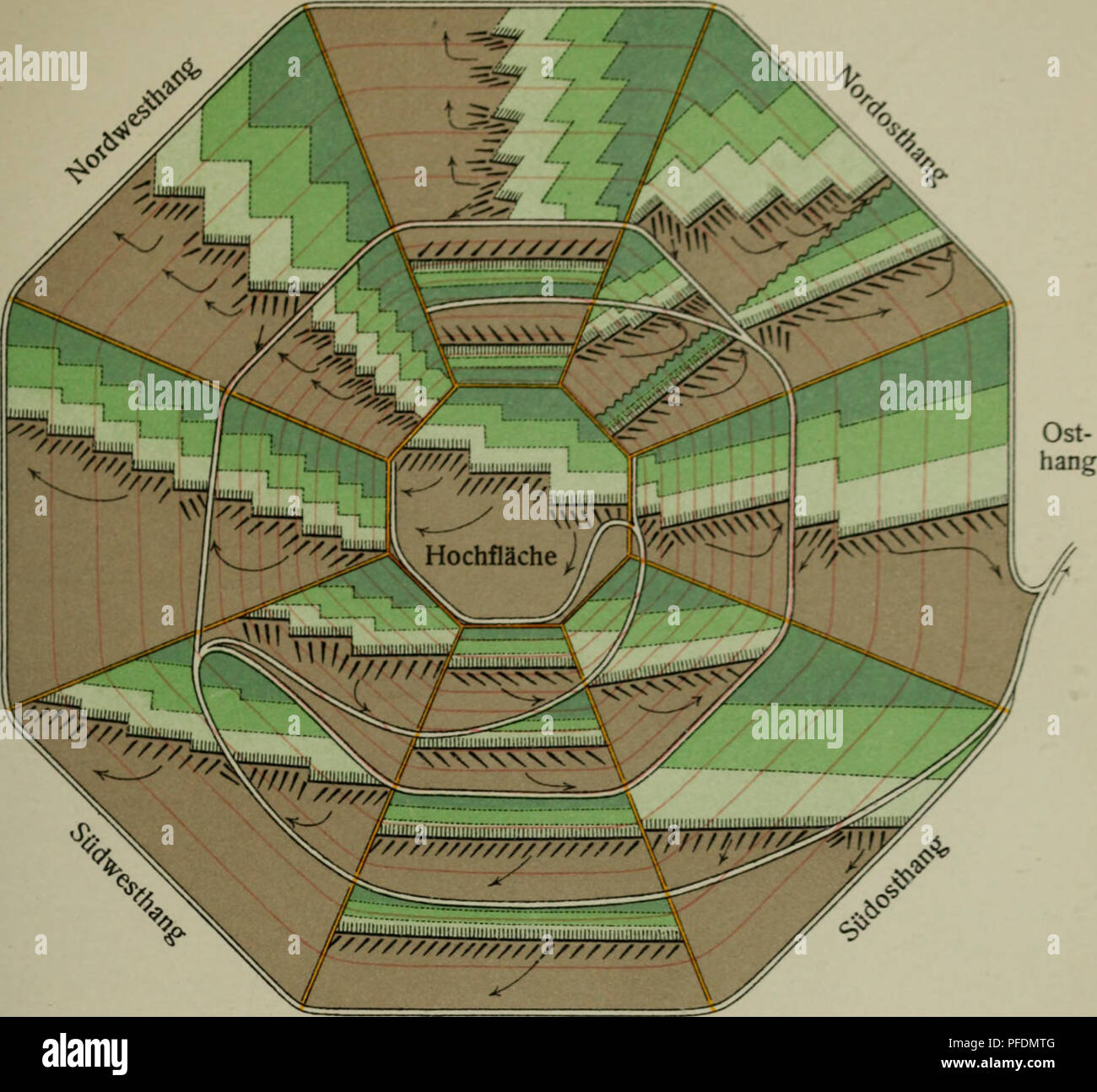 . Der Blendersaumschlag und sein sistema. Le foreste e la silvicoltura. Fig. 20. Zu Seite 148. Nordhang West- appendere. Südhang Schematische Darstellung eines Bergs von der forma zweier auf einander gestellter Pyramidenstumpfe, eines flachen unteren und eines oberen steilen. Der Berg zeigt eine kleine Hochfläche, sowie die acht Haupthangrichtungen und zwar sind die oberen Hänge steil, die unteren flach (die roten Schichtenlinien stellen den ver- schiedenen Neigungsgrad der Flächen dar). Die verjüngten Flächen sind grün, nach dem Alter in verschieden dunkeln Tönen, die noch nicht dagegen verjüngten grau darg Foto Stock