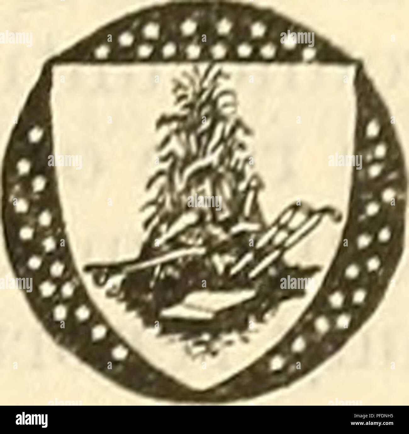 . Bollettino di reparto. Agricoltura; l'agricoltura. Washington, D. C. carta professionale Marzo 29, 1923 IL DETERIORAMENTO DELLA ABBATTUTO WESTERN YELLOW PINE su insetto-PROGETTI DI CONTROLLO.1 da J. S. Boyce, patologo, Ufficio di indagini in patologia forestale, Bureau di impianti industriali. Contenuto. Pagina. Introduzione 1 Metodo di raccolta dei dati 2 Kate di deterioramento 2 Pag". Cause di deterioramento 4 Conclusioni INTRODUZIONE 6. Nel corso degli ultimi quindici anni esteso di insetto-misure di controllo sono divenute necessarie in varie località degli Stati Uniti occidentali al fine di controllare le epidemie del western pin Foto Stock