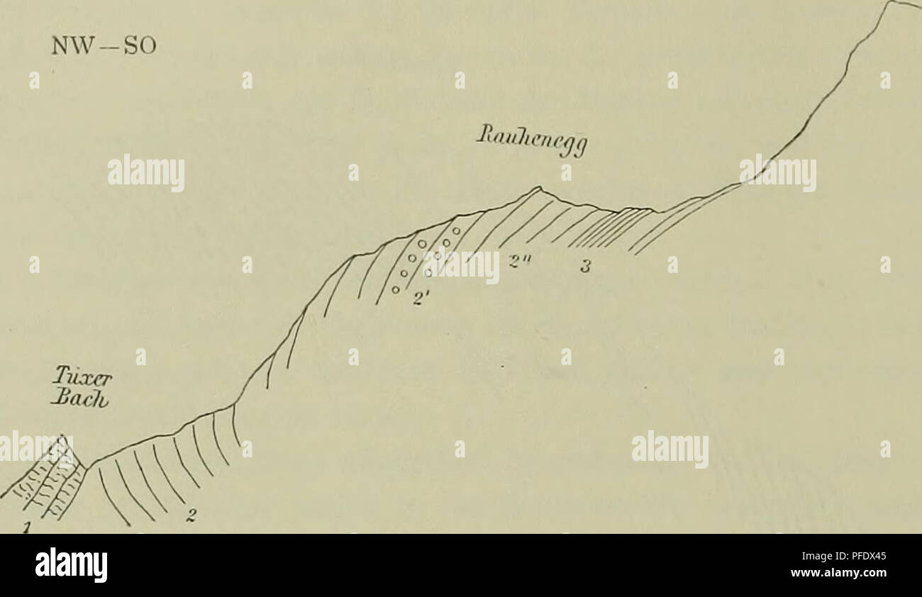 . Denkschriften - Österreichische Akademie der Wissenschaften. 280 B. Sander, Winkel auf. Manchmal (besonders am Grat zwischen Riffelscharte und Realspitze zu beobachten) sind oft sehr ausdauernde poröse, löcherige, mürbe Zwischenlagen von wenigen Zentimetern bis zu einigen Dezi- metri Mächtigkeit zu bemerken. Ferner schnell auskeilende, meist einige Dezimeter mächtige Lagen mit vorherrschendem Quarz, großblättrigen Muskowit-Biotitaggregaten, Erz, Calcit und Rutil. Am Weg zum Fig. 7. 1000 Teilerbett NW-così ^"//7/"//^,y. Tuxer Taclu Schnitt durch das Rauhenegg (schief zum Streichen.) 1 = Kalk Foto Stock