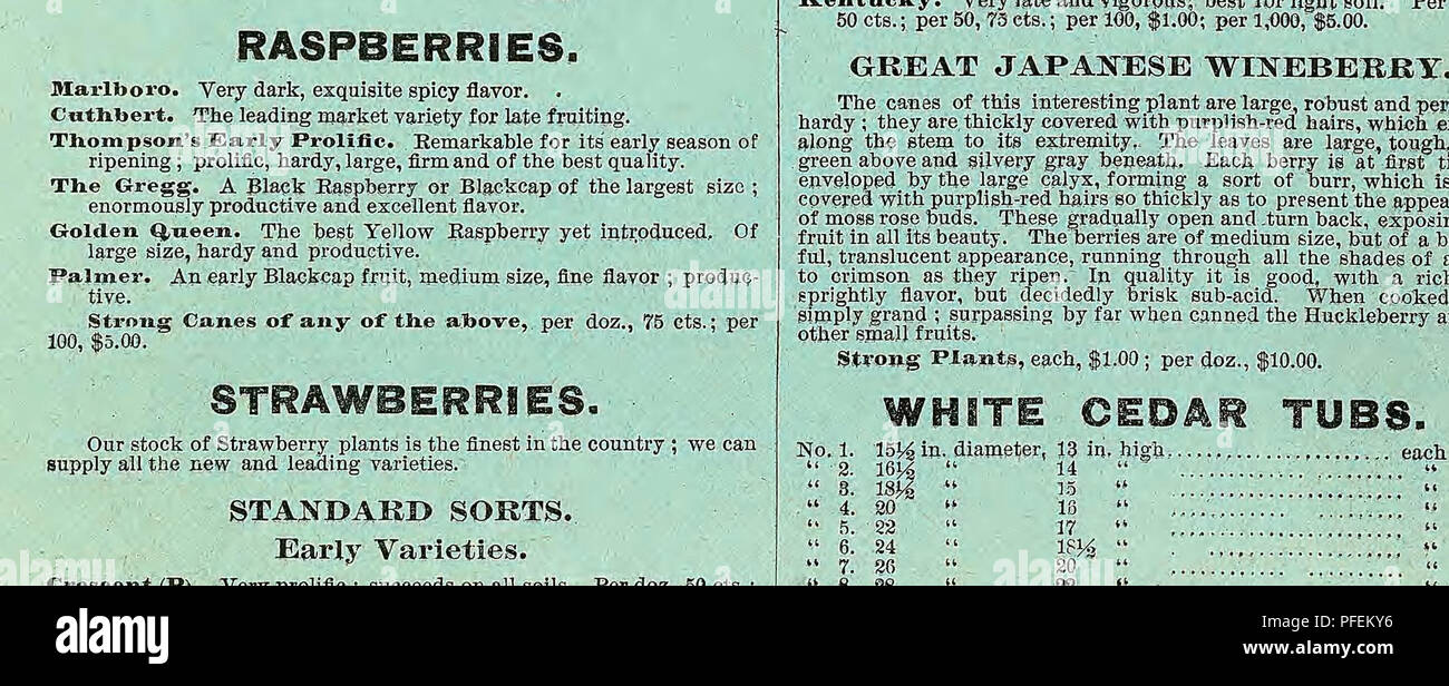 . Catalogo descrittivo di verdure, fiori e semi di fattoria. Vivai (orticoltura); vivaio; semi; lampadine (piante); GIARDINAGGIO; attrezzature e forniture; biancheria piante; Weeber &AMP; Don. WEEBEB &AMP; BON. TBEES, SHEUBS, FLO WER pentole. 79 inizieremo la spedizione nella primavera circa il 1 aprile e in autunno circa novembre !. Abbiamo .enumerare solo un paio di tipi standard, tutti gli altri tipi possono essere forniti in corrispondenza di . i prezzi pubblicizzati. Vedere il nostro catalogo ad albero. Libera sull'applicazione. Le mele. -Vin. Newtown Pippin, cadono Pippin, Northern Spy, CrOlaeni JRusset, . " Spitzenberg. Prezzo standard a scelta, da 6 a 7 ft Foto Stock