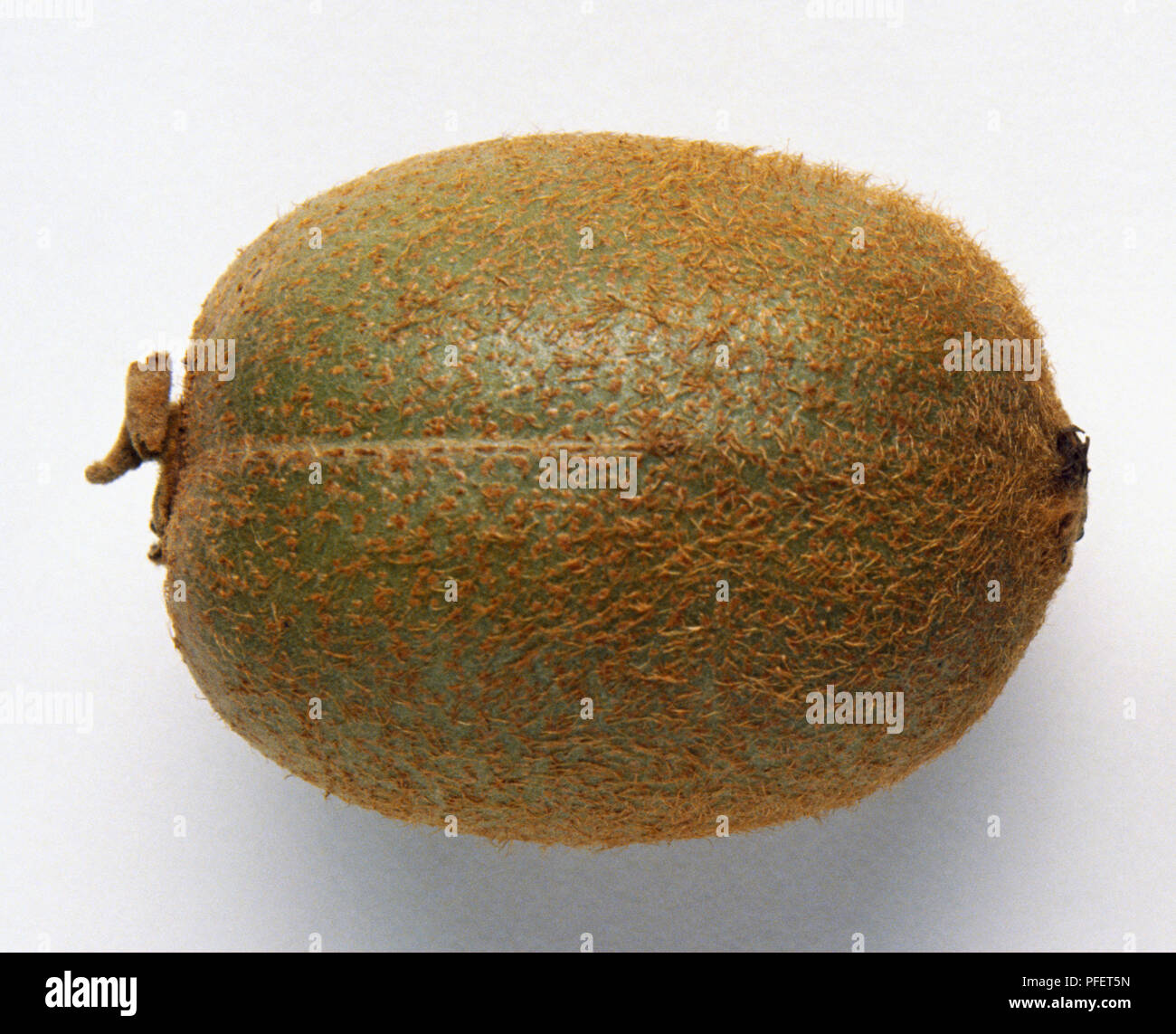 Il kiwi o uva spina cinese con peli fini sulla pelle. Foto Stock