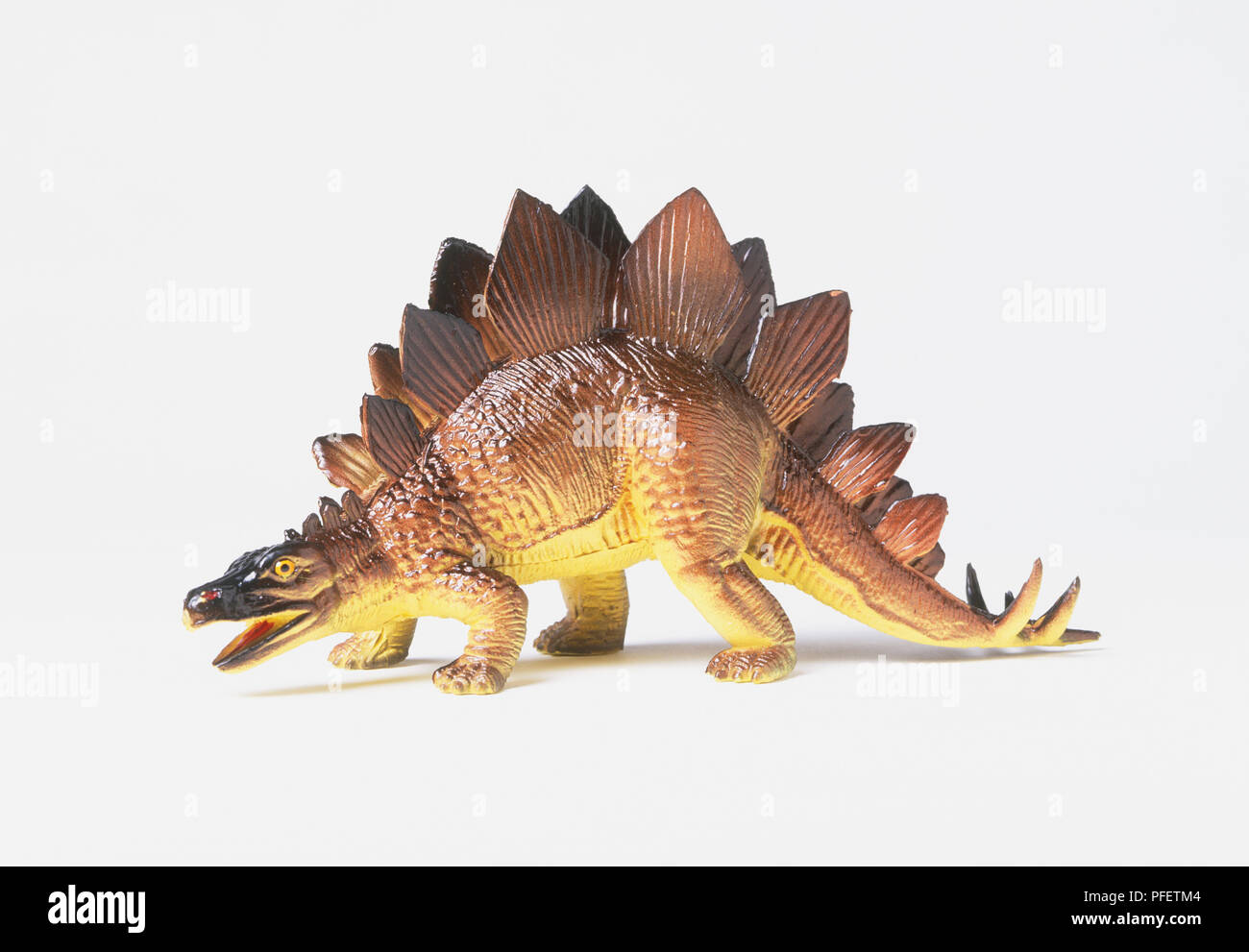 Un modello di Stegosaurus Foto Stock