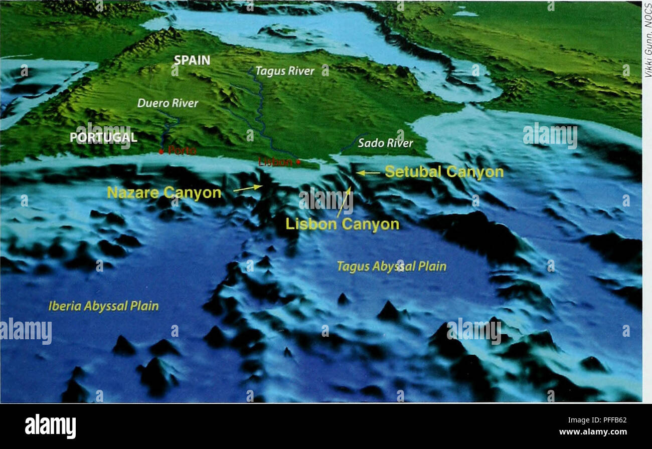. Deep-sea della biodiversità e degli ecosistemi - una relazione di scoping sul loro socio-economia, gestione e governance. UNEP-WCMC Biodiversità serie 28. Degli habitat e degli ecosistemi e della biodiversità. Mappa tridimensionale del fondale al largo della costa atlantica della penisola iberica, che mostra vari canyon sottomarino tagliare la piattaforma continentale. Pianure abissale Abyssal plains, che si verifica comunemente in profondità di acqua di circa 3 000-6 000 metri, costituiscono circa il 40 per cento dell'oceano pavimento e il 51 per cento della terra dell'area. Essi sono generalmente piatta o molto dolcemente degradante delle zone formate da nuovo Oceanic cr Foto Stock