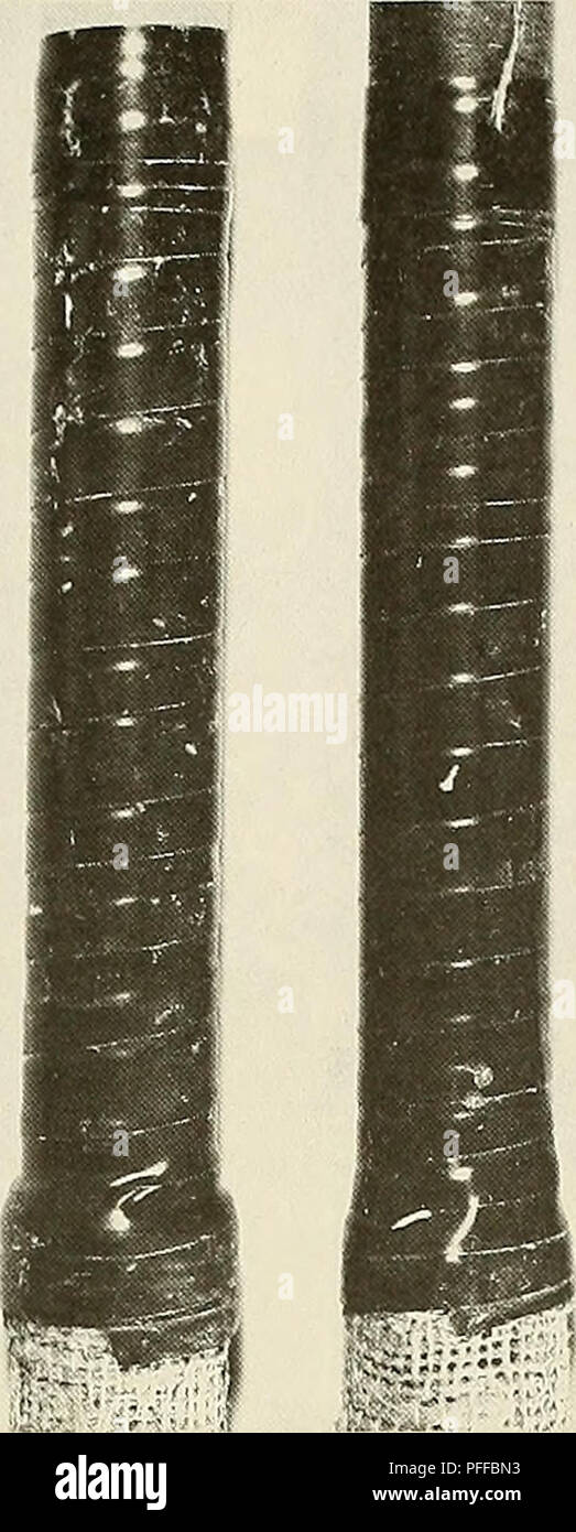 Questo lavoro discute l'impatto delle condizioni oceaniche profonde sul biodeterioramento dei materiali, concentrandosi in particolare sui sedimenti marini e sui loro effetti sui vari materiali utilizzati nelle applicazioni subacquee. Esamina in che modo i microrganismi contribuiscono alla rottura dei materiali nelle profondità oceaniche, fornendo preziose informazioni per l'ingegneria dei materiali e la conservazione ambientale. Foto Stock