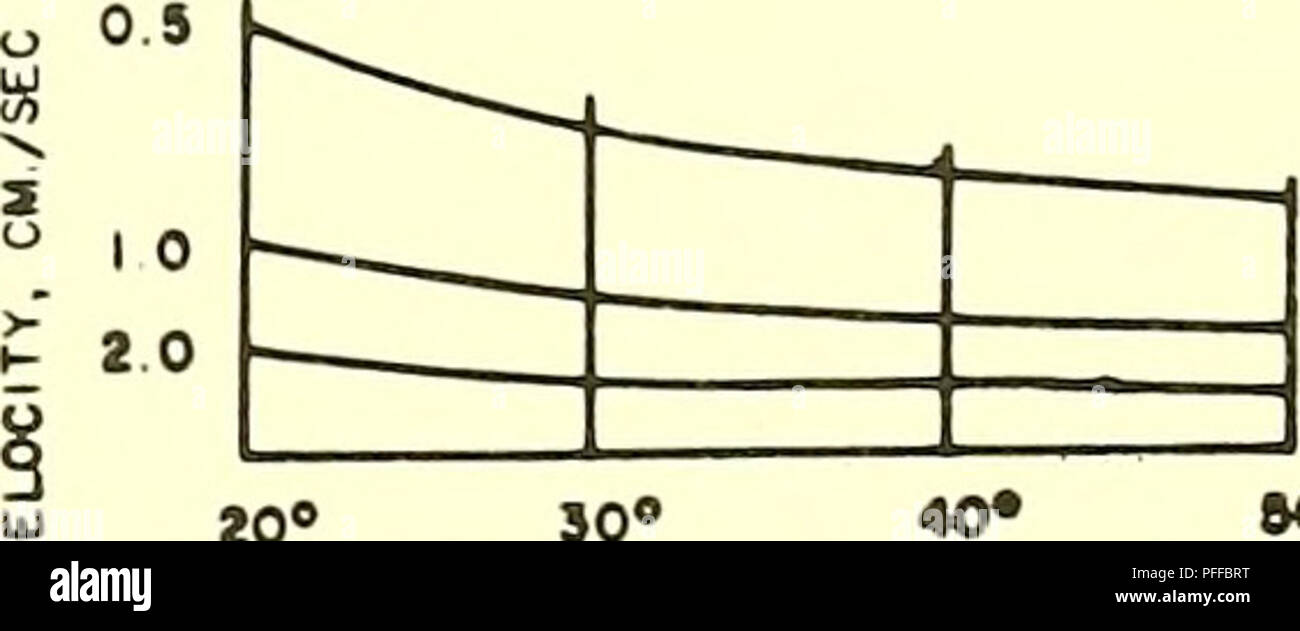. Circolazione profonda, centrale Oceano Pacifico settentrionale: 1961, 1962, 1963. Circolazione oceanica. 180° 170° 160° Figura 32. -Tupugraphy nella dinamica di metri, 5.000-m livello regolato per centrali eoliche trasporto geostrophic. Ekman divergenza non costitui- sidered. Agosto 1961. Coefficiente di resistenza 0.0026: sollecitazioni dal mensile medio delle pressioni.. go"" quindi "0" "0" della scala di velocità per* .01 intervallo del misuratore 68. Si prega di notare che queste immagini vengono estratte dalla pagina sottoposta a scansione di immagini che possono essere state migliorate digitalmente per la leggibilità - Colorazione e aspetto di queste illustrazioni potrebbero non perfettamente assomigliano al lavoro originale. Foto Stock