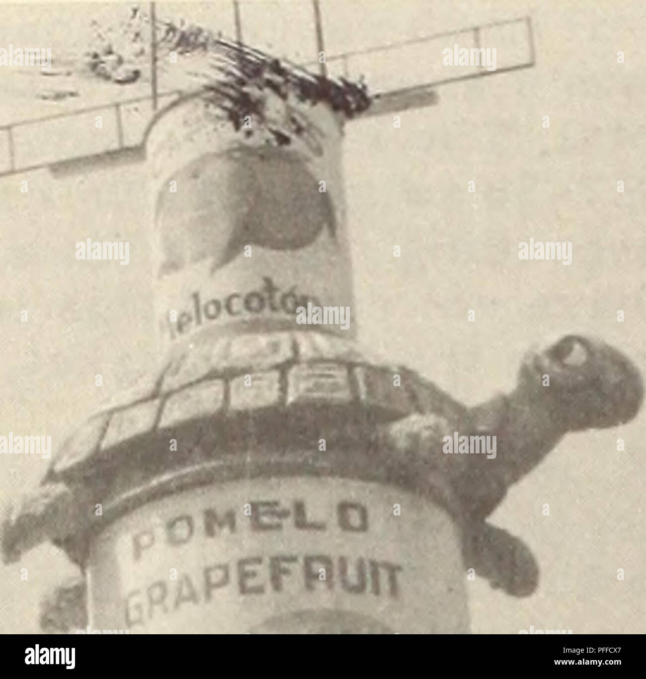 L'industria conserviera della frutta in Spagna, con sede a Murcia, svolge un ruolo significativo nella conservazione e nell'esportazione di frutta e verdura. La fiera annuale dedicata al cibo in scatola mette in evidenza vari prodotti ortofrutticoli, tra cui frutta e verdura in scatola, che mostrano le capacità agricole e di conservazione del cibo della Spagna. La fiera è un evento importante nel calendario agricolo spagnolo. Foto Stock