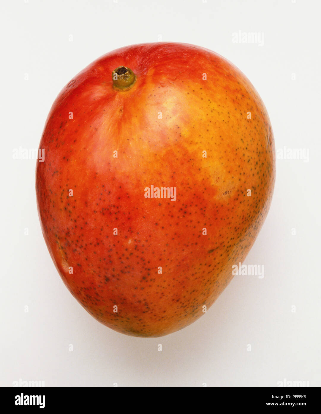 Un mango. Foto Stock
