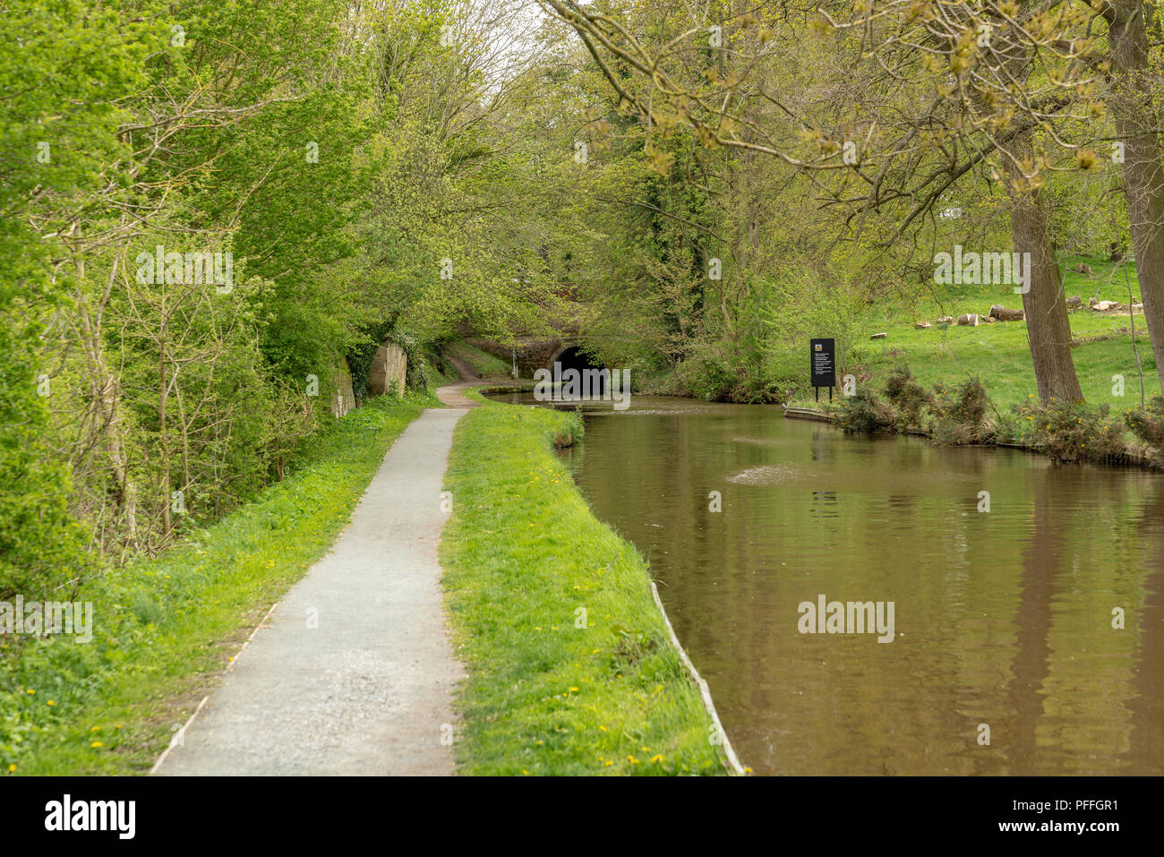 Il Llangollen Canal vicino a Ellesmere, Shropshire, Inghilterra, Regno Unito Foto Stock