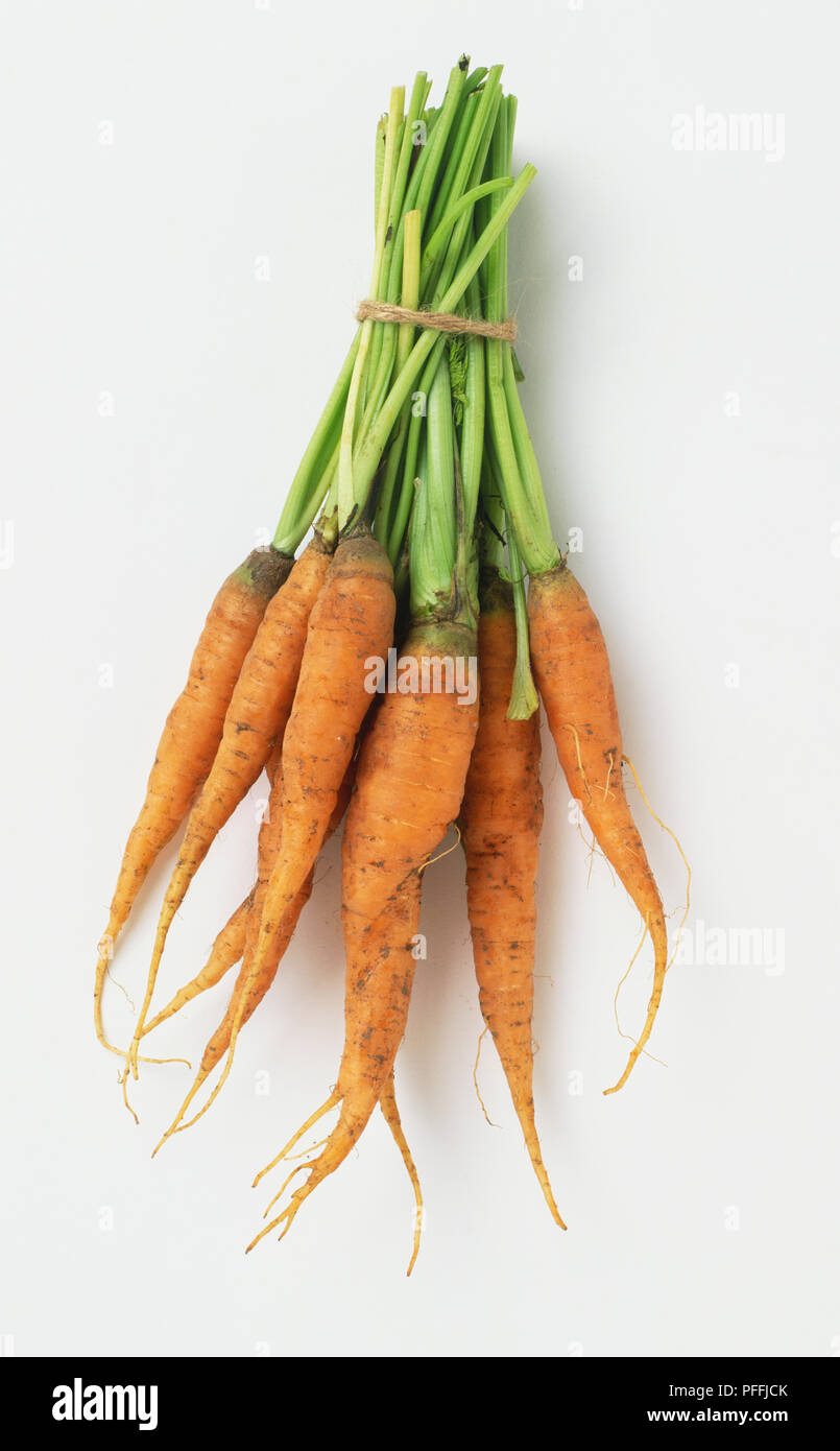 Carote Foto Stock