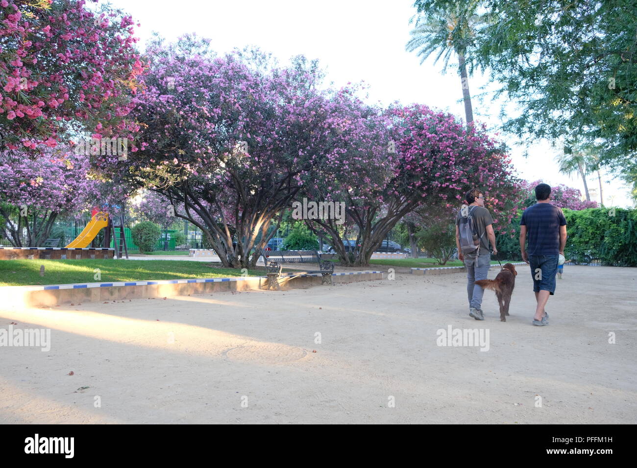 Amici passeggiate con il cane nel parco sul giorno di estate Foto Stock