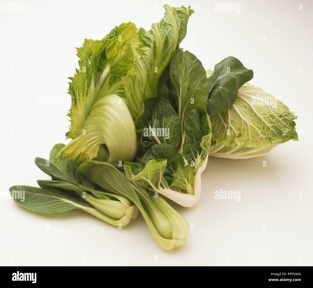 Brassica oleracea, stretto con testa di cavolo cinese e due loose-lasciava varietà Foto Stock