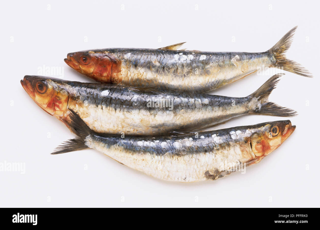 Tre le sardine, vista laterale Foto Stock
