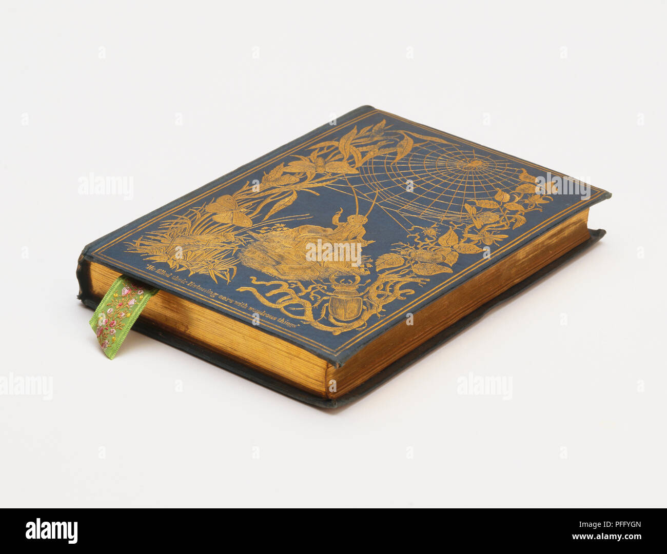 Vecchio libro con oro blu-incisa copertura in pelle, oro bordati di pagine e pagine di nastro-mark, vista frontale. Foto Stock