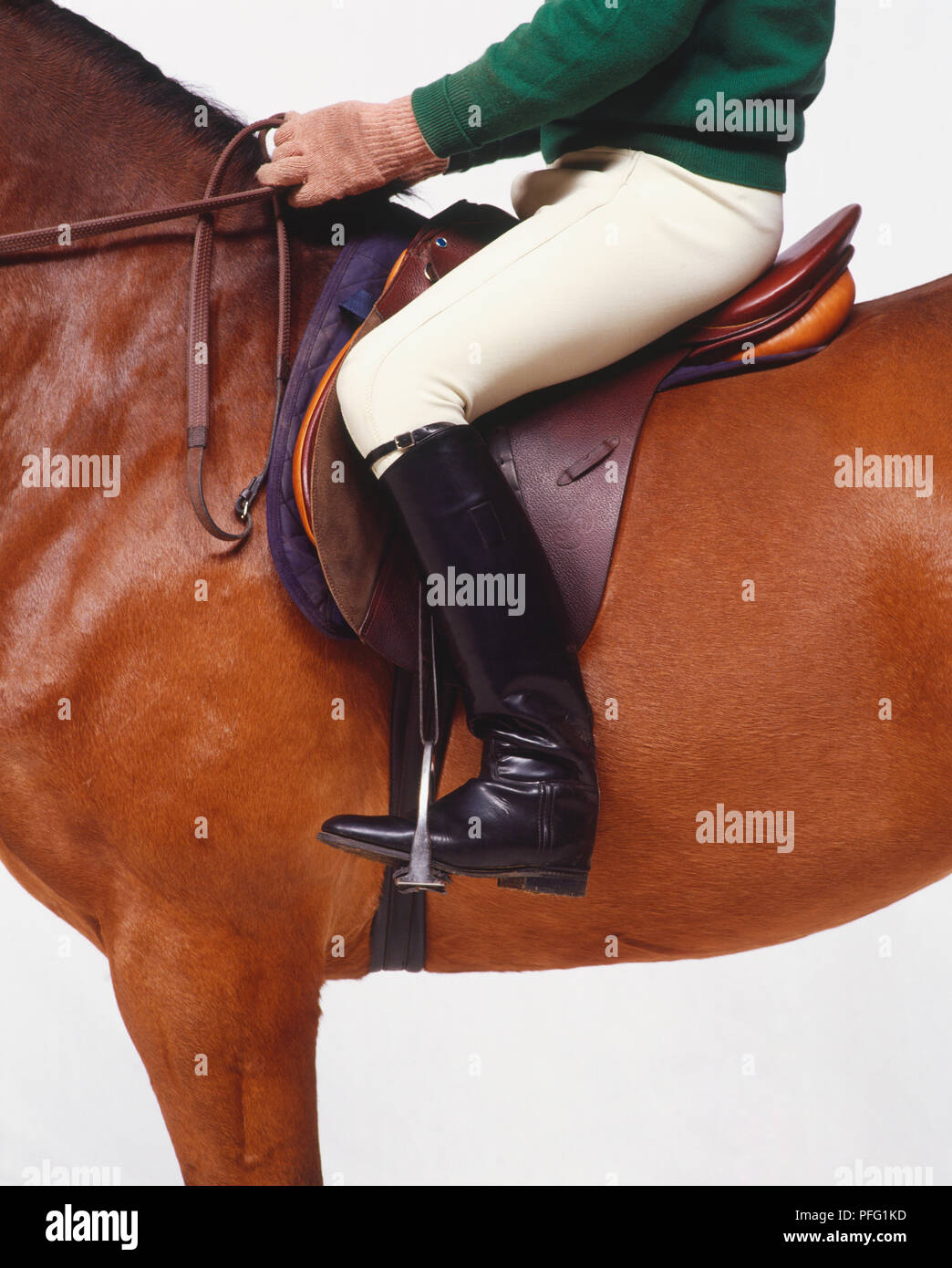 Motociclista seduto sul cavallo marrone, redini nelle mani e piedi in staffe regolato per jumping, alla cintura verso il basso in vista laterale Foto Stock