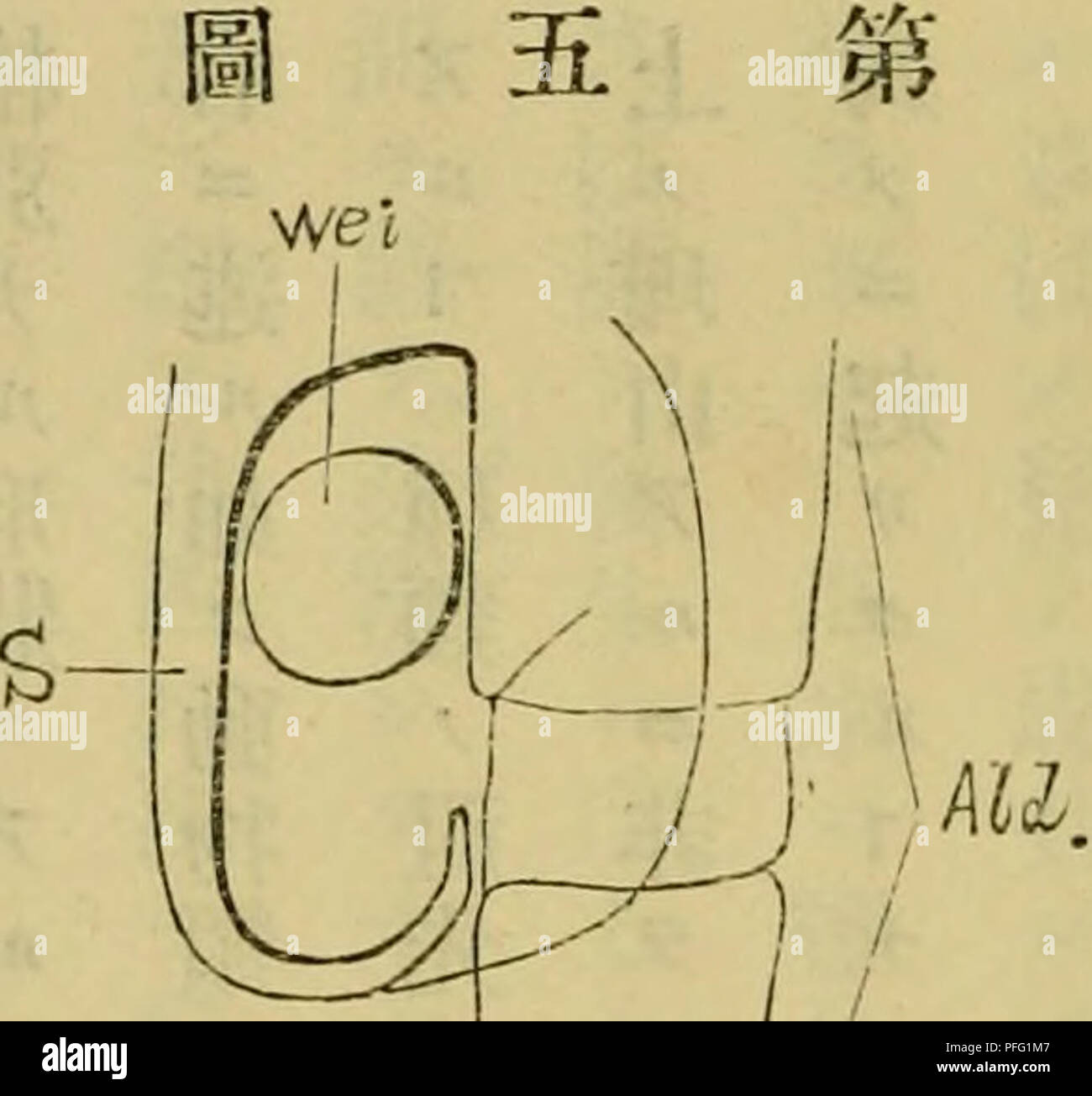 Otl Immagini E Fotos Stock Alamy