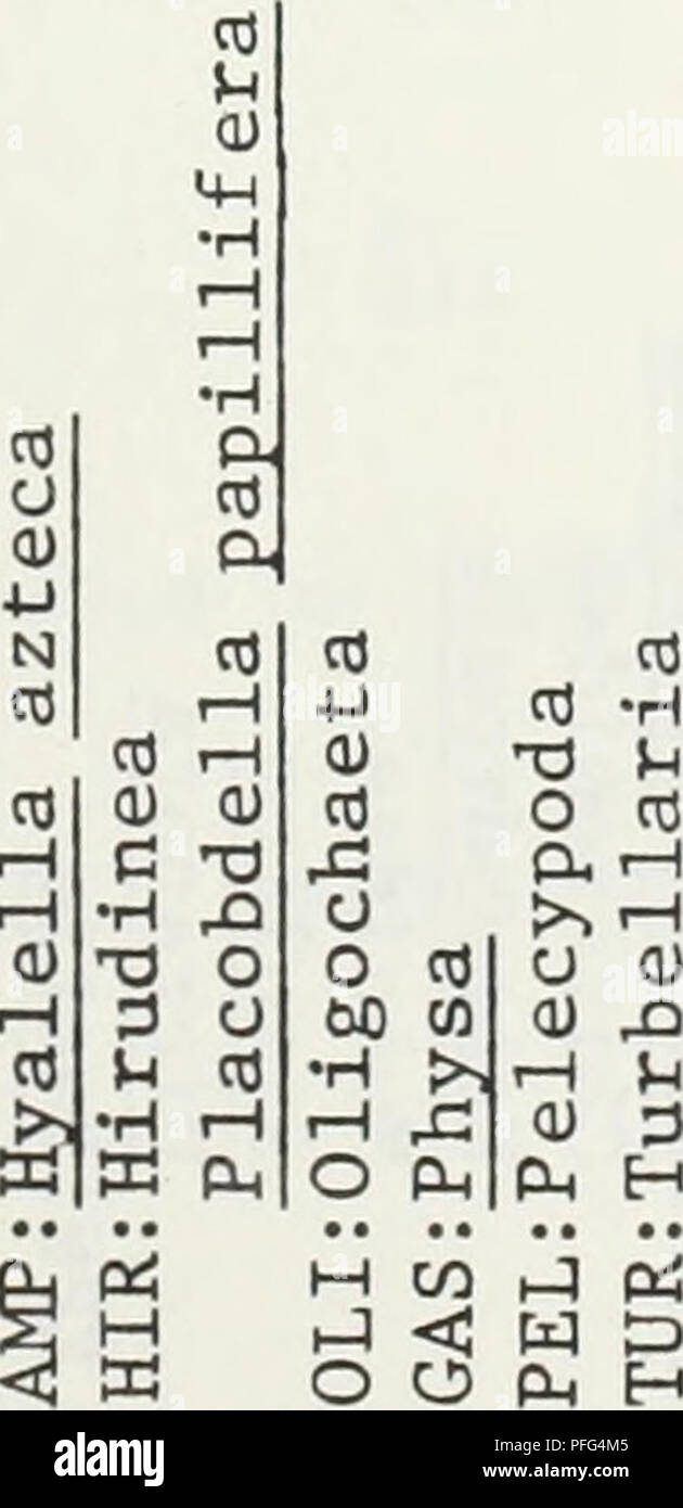 . Report dei dati di macroinvertebrato bentonici e periphyton inventario comunitario i flussi di scarico del sud del Fort Unione bacino regione del sud-est Montana. Qualità dell'acqua Valutazione biologica; Periphyton; invertebrati di acqua dolce. -115- co qj OC cO ft o QJ 00 CO ft - UNA O o qj co 0) x) QJ 3 â¢H 4-. P! O o 43 cO H ro cor^ocnoocnooors-r^cnonoor-sOcnrs- oi O O rH I I I I cn | &LT;r OOOvD-d-Oro^OO OO OONOsf H CN I L I I I CN I OvO mi &LT;r I I I-H | CO H I I I &LT;r o i oo | CNI CN I CN cO 00 co r-* o su -s^ H o rH I I I I I I I 00 IO HO rH I I I I I L I I I l cm | l I l -st oo-^i^oo^cn Foto Stock