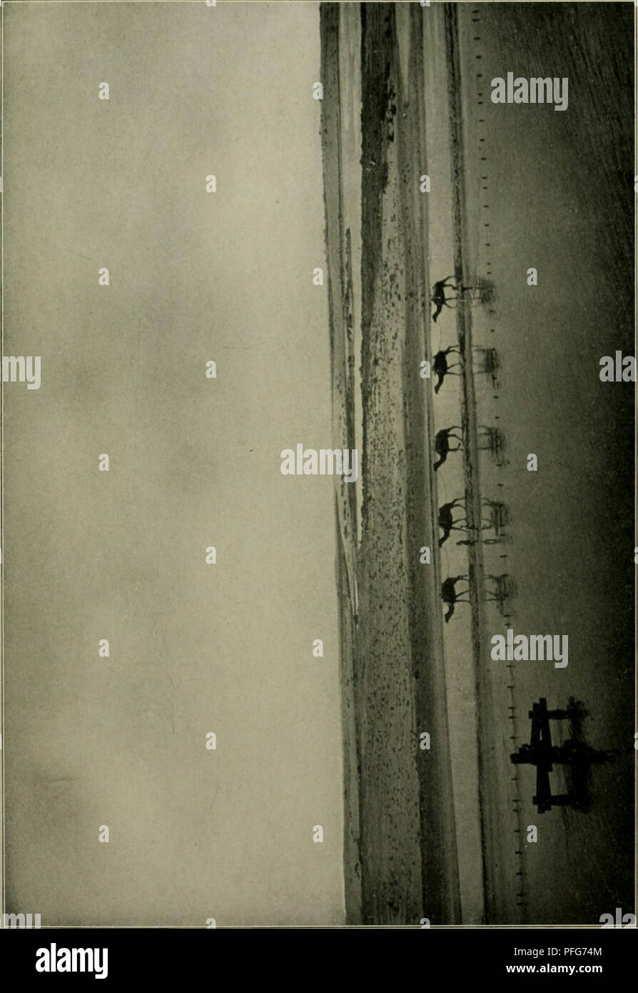 . Das Leben der Pflanze. Piante; piante; piante; Phytogeography. . Si prega di notare che queste immagini vengono estratte dalla pagina sottoposta a scansione di immagini che possono essere state migliorate digitalmente per la leggibilità - Colorazione e aspetto di queste illustrazioni potrebbero non perfettamente assomigliano al lavoro originale. Francé, R. H. (Raoul Heinrich), 1874-1943; Gothan, Walther Ulrich Eduard Friedrich, 1879-1954; Lange, Willy, 1864-. Stoccarda, Kosmos, Gesellschaft der Naturfreunde Foto Stock