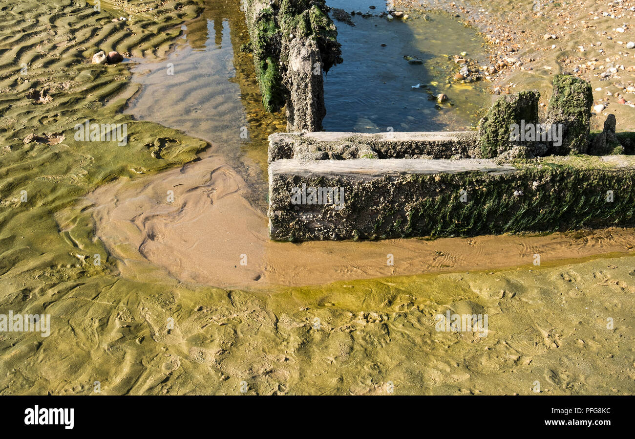Vecchi pennelli in legno sulla spiaggia a Hunstanton Foto Stock