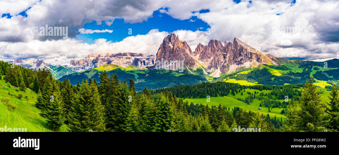 Vista panoramica della splendida Sassolungo Gruppo delle Dolomiti e il verde altopiano alpino Alpe di Siusi in Alto Adige Italia Foto Stock