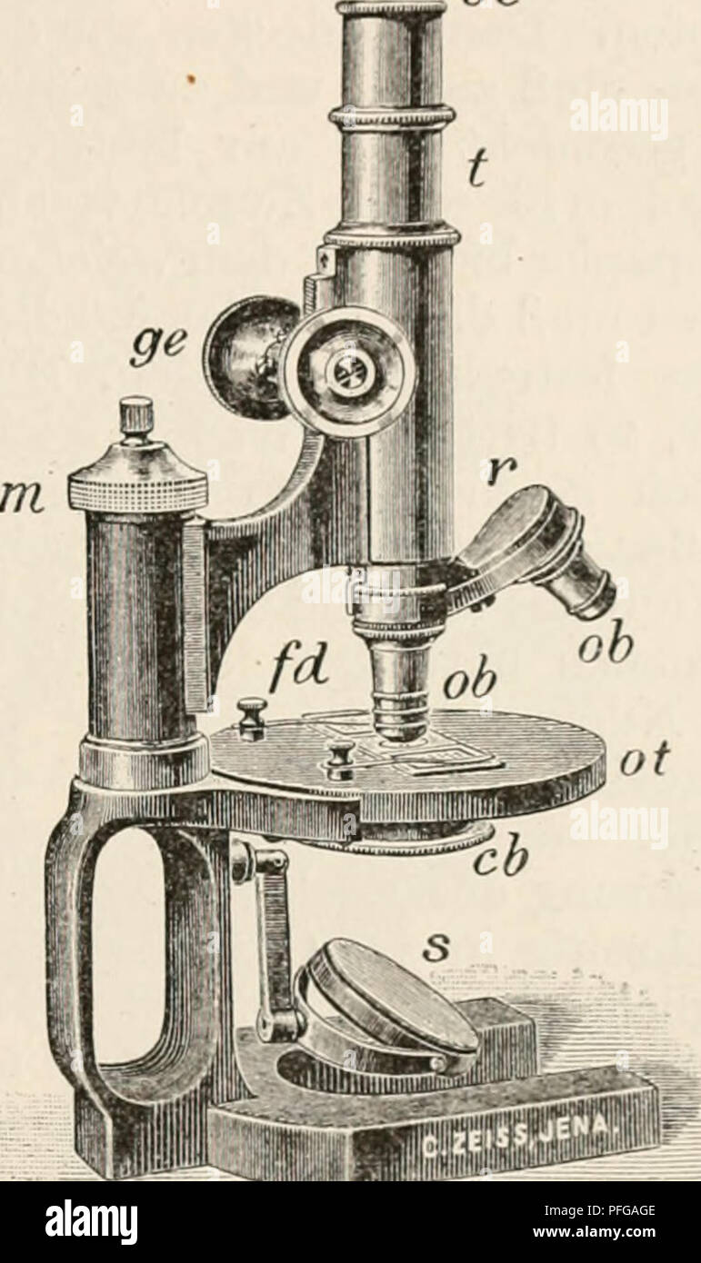 . Das botanische praktikum, Anleitung zum selbststudium der mikroskopischen botanik fÃ¼r anfÃ¤nger und geÃ¼btere, zugleich ein Handbuch der mikroskopischen technik. La fisiologia vegetale; botanica; microscopia. .K's Mikroskops. 05 oc Blenden nach Bedarf eingesetzt. Sie mÃ¼ssen mit der OberflÃ¤che des ObjekttLsches in eine Ebene zu liegen kommen. Mit Hilfe dieser Blenden regulieren wir die Beleuchtung, ziehen Ã¼brigens fÃ¼r den un- Fang, Vor den Zylinder mit der la blenda ganz aus der HÃ¼lse heraus- zunehmen. Manche kleinere stativo fÃ¼hren un Stelle der Zylinder- blenden eine gewÃ¶lbte, exzentrisch befes Foto Stock