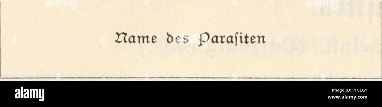 . Das im Schmarotzertum Tierreich und seine Bedeutung für die Artbildung. Il parassitismo. U6 Die parafilen bes IHcnfci^en. SorU lauf. Uv.. Befallenes (Drgan IHenfdpen bes 26 27 28 29 30 31 32 33 3^ 55 36 37 38 39 ^0 ^l ^2 ^3 'k^ /J6 ^^ ^8 ^9 50 51 52 53 5^ 55 56 57 58 59 60 6 Metorchis truncatus Opisthorchis felineus - sinensis . . - Noverca . , Cotilogonimus heteroph3'^es Dicrocoelium lanceolatum Schistosomum haematobium .... Cestodes (Banbirürmer) Dihothfiocephalus latus (breiter 'Banh'^ rr&GT;urm) - cordatus Diplogonoporus grandis Bothriocephalus mansoni Dipylidium caninum (cucuraejrinum) Hyme Foto Stock