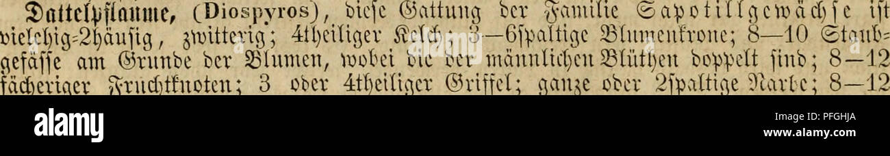 . Das grosse illustrirte Kräuter-Buch : eine ausführliche Beschreibung aller Pflanzen, mit genauer Augabe ihres Gebrauchs, Nutzens und ihrer Wirkung in der Arzneikunde. Piante medicinali; Materia medica, vegetali; erbe. aber fancr unrb. 5^en ö^'i-nii^*-'^^ ^tni.'.cu ceUHif)ven jebocl) bie "mi^atteln, inbcm fie oft bie einjige ^lalnnmg in jenen l)FEI3en iL'änbern bilben. ^?uicf) bem 9?eifen nnb ?(bnel)uomini läf^t uomo fie cinivßc Xage licc^cn nnb se^t fie rol) ober bereitet fie anf mi^crfcMebene 9lrt p, aud) fo, ba^ uomo fie längere 3cit anfbc'iiHiI)ren fann. ®er anä ho()nen ö>-^I-H'cf>te Foto Stock