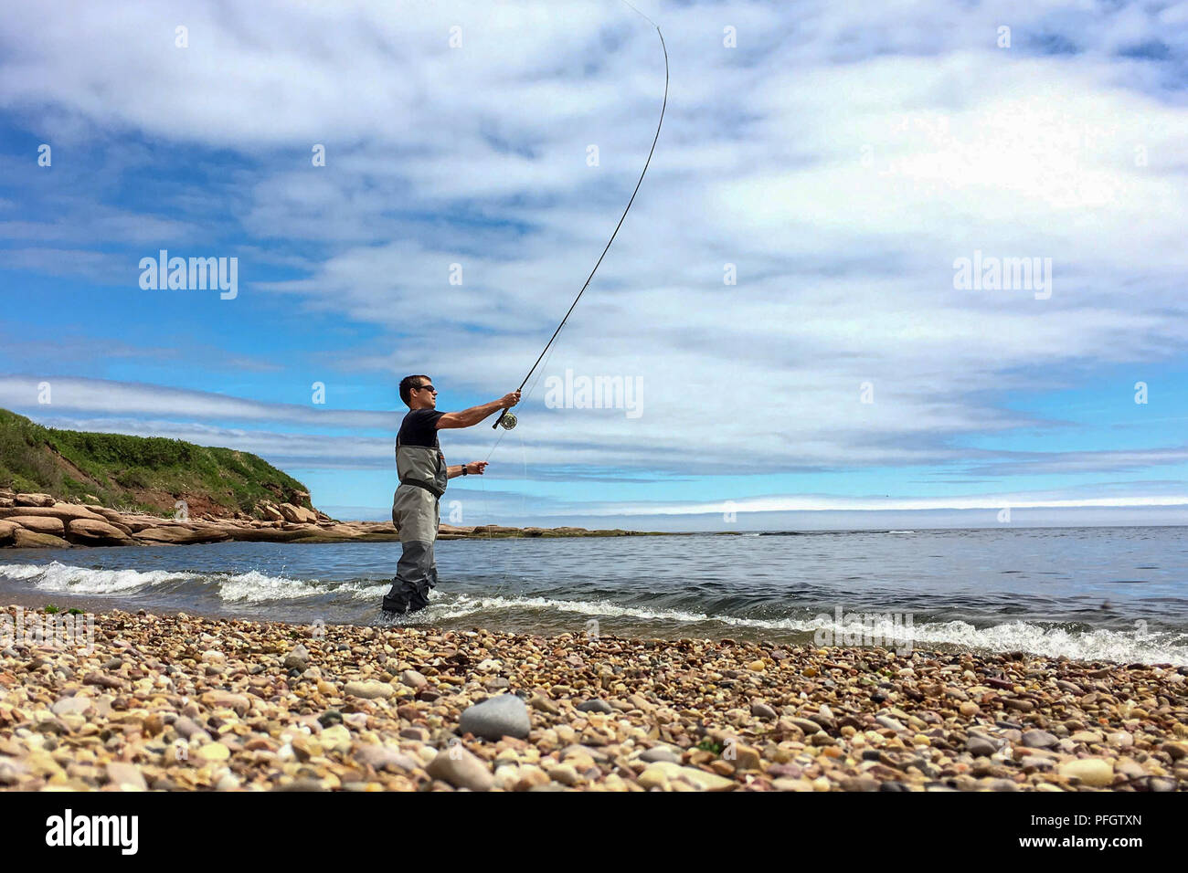 Saltwater fly fishing per Striped bass su Quebec's Gaspe Peninsula, Canada Foto Stock