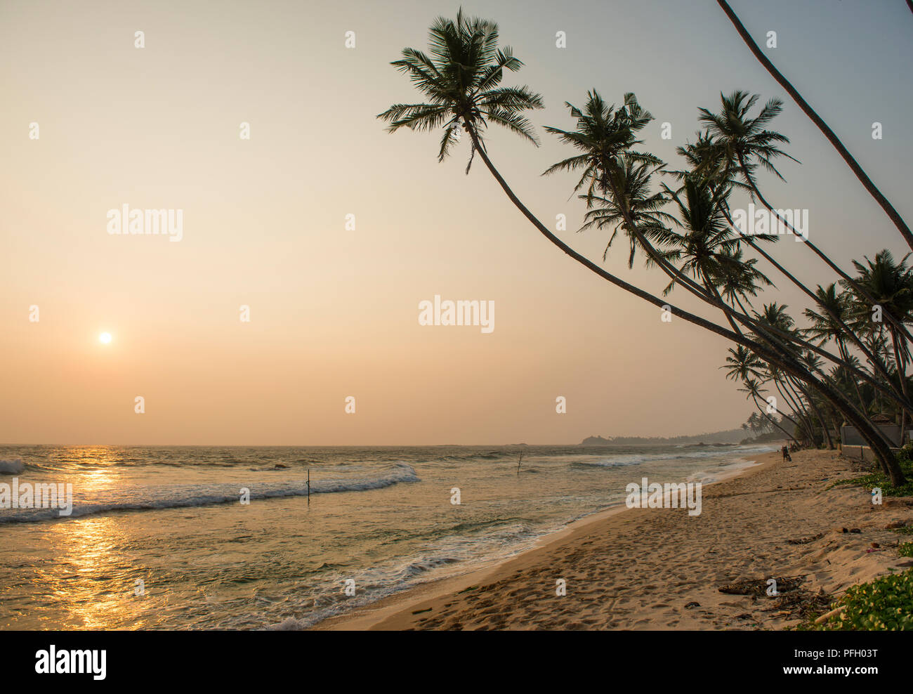 Alte palme si profilano su una splendida e remota spiaggia sabbiosa al tramonto, a Unawatuna, Sri Lanka. Foto Stock