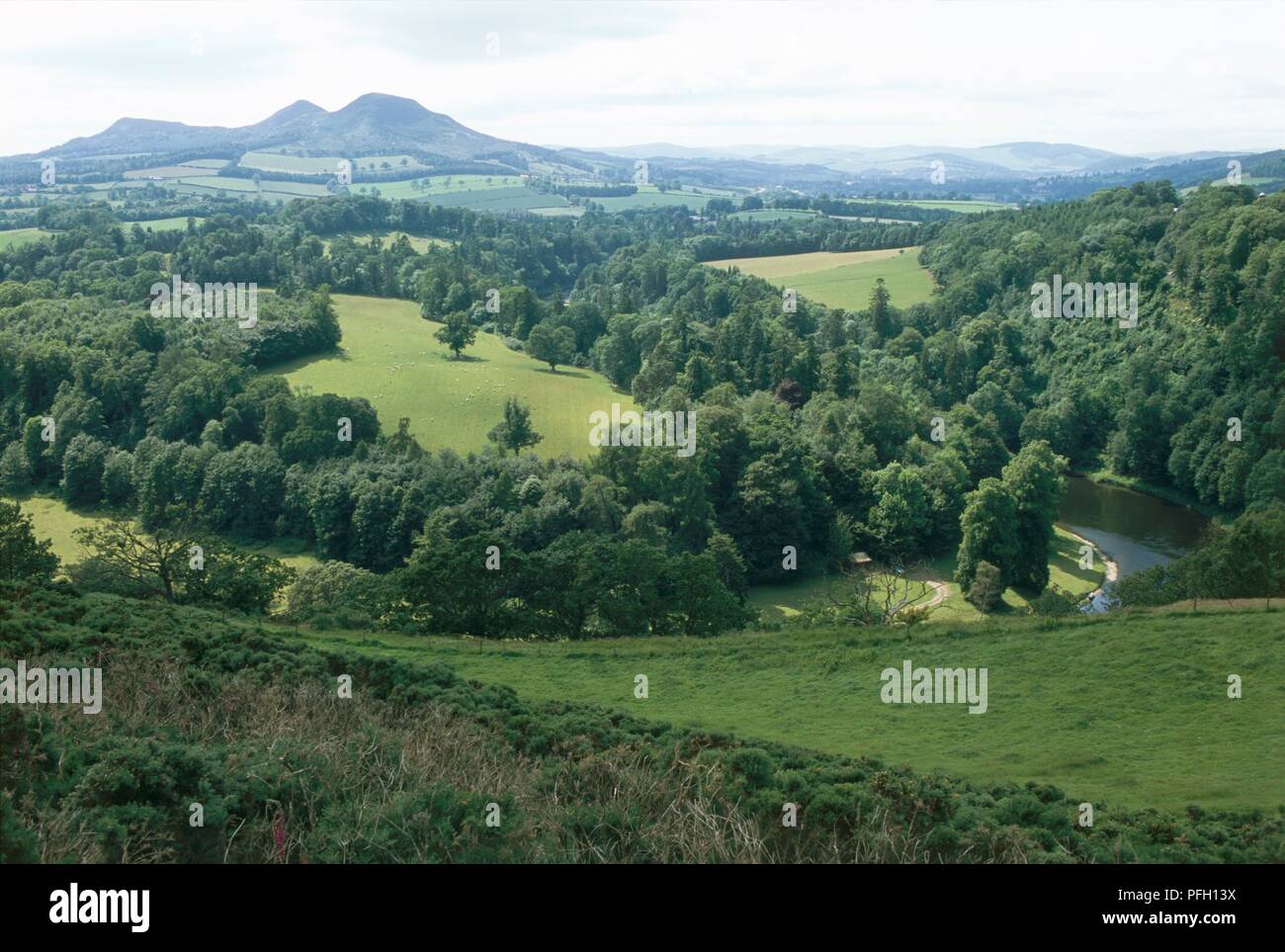 Regno Unito, Scozia, Eildon Hills, triple picco di montagna ed in parte boscoso paesaggio visto da Scotts' vista in frontiera scozzese regione Foto Stock