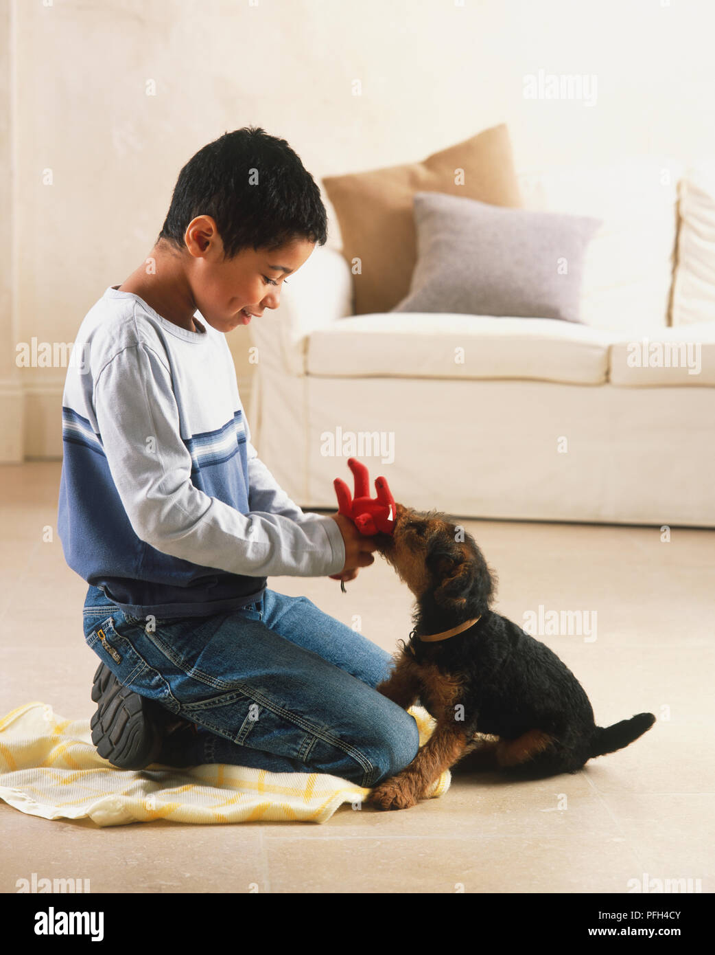 Cucciolo (canis familiaris) masticare un guanto offerti da un ragazzo inginocchiato accanto ad esso Foto Stock