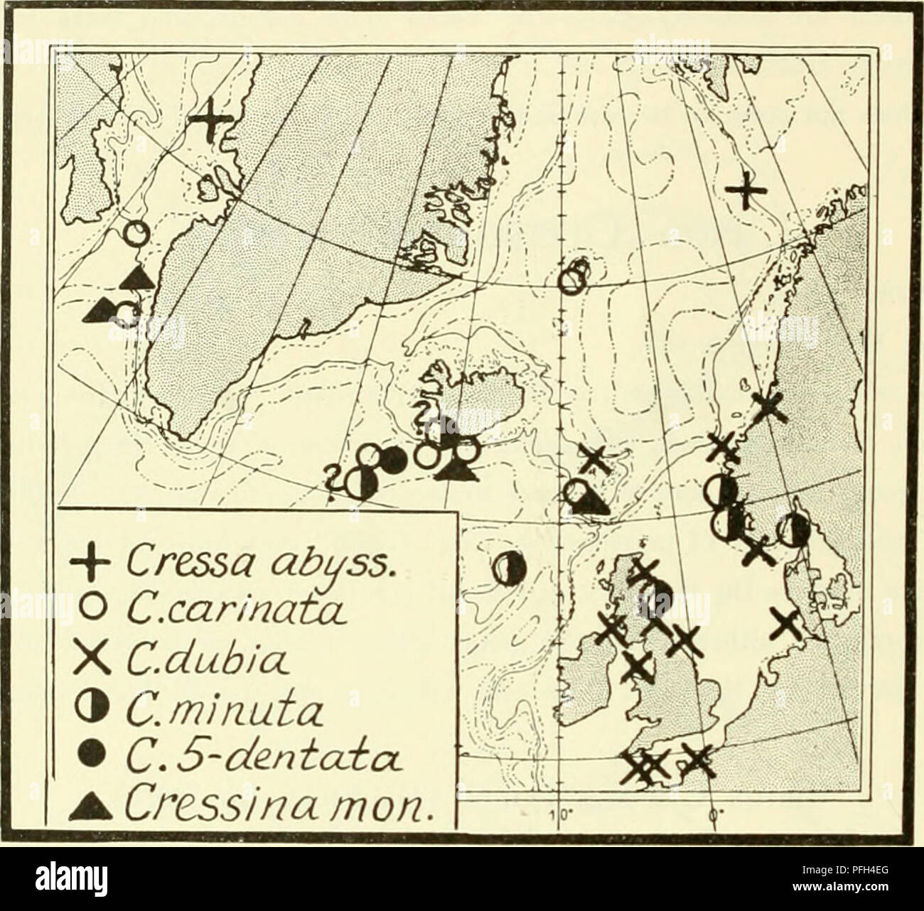 . Il danese Ingolf-spedizione. Animali marini -- regioni artiche; spedizioni scientifiche; regioni artiche. 200 CRUSTACEA MALACOSTRACA. VII. Mull (S.W. Scozia); il Galles del Nord e isola di Man; off Cullercoats, Northumberland, 40 m.; Isola di Cumbrse; Torquay (Norman 1900, p. 46). 55°i2' N, R°25' O. (N.E. di Newcastle), 45 m. (Kapt. Orsted gamba. 1910; i campioni in Copenhagen Zool. Museo). - - Isola di Helgoland Sokolowsky (1900). - Francia, 8 località, 5-20(132) m., sia nell'Atlantico e nel Mediterraneo (Chevreux &AMP; Fage 1925).. Grafico 34. Cressa abyssicola, C. carinata, C. dubia, C. minula, C. Foto Stock