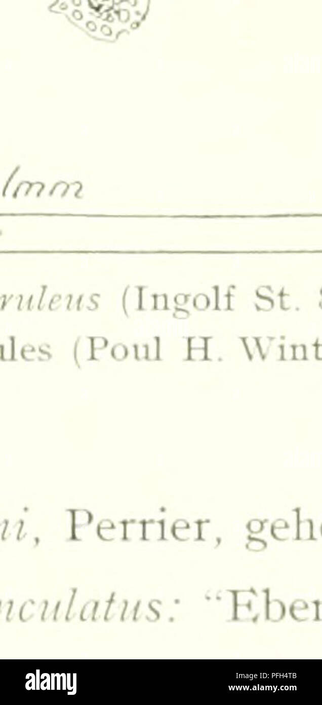 . Il danese Ingolf-spedizione. Animali marini -- regioni artiche; spedizioni scientifiche; regioni artiche. Text-fig. 49. Kiichiete hnrhata Brady. un -b. f&LT;?. Somite genitale di due esemplari in vista laterale X i6- c. p. Pes ho dext. ant. vista X 53. f-g. fc?. Angolo laterale di destra e di sinistra X i^. h. fo'. Pes ' dc.t. Re x 57- mi- Pe.s V Ri peccato. dal lato interno x 59- j. YQ (vSt. V) addome &gt;, è. k. Furca della stessa sjjecimen &gt;, 33 1. Vo' (St. V). Pes V X 33. ni. Yo" (St IV). Addome &gt;: 16. n. '&Lt;3 (St. IV) Pes V X 57- o -p. V (St, III). Rostro e addome X 16. Il measurem Foto Stock