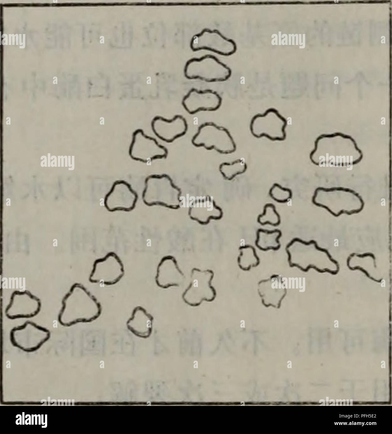 . Dan bai zhi fen zi ji chu. botanica. 0 50 U lU(iO 15U0 ??nullo ?5-8 Ifii???????????????????. Si prega di notare che queste immagini vengono estratte dalla pagina sottoposta a scansione di immagini che possono essere state migliorate digitalmente per la leggibilità - Colorazione e aspetto di queste illustrazioni potrebbero non perfettamente assomigliano al lavoro originale.. tao wei sun deng. ren min jiao yu chu ban she Foto Stock