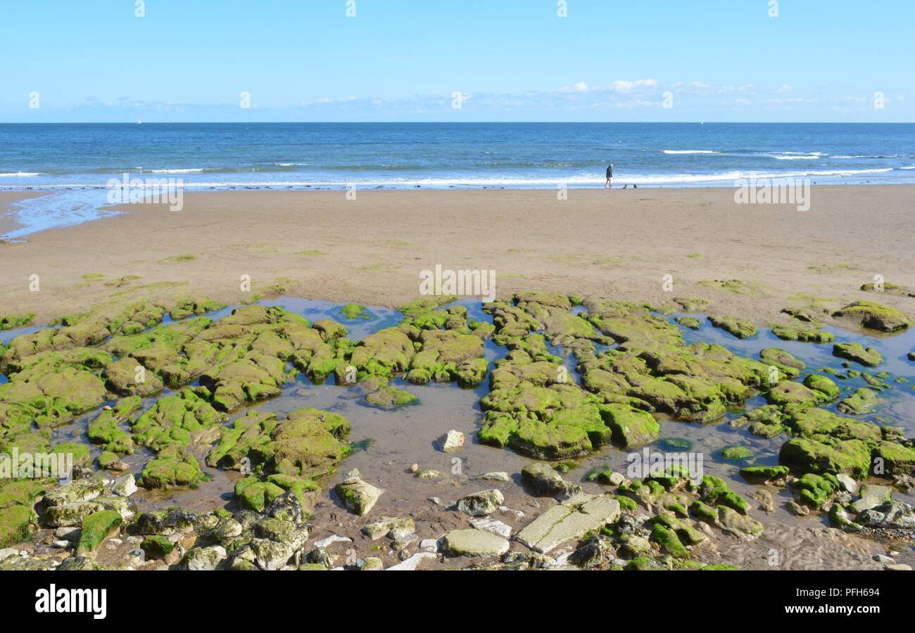 Pomeriggio Passeggiata a Filey spiaggia in luglio. Foto Stock