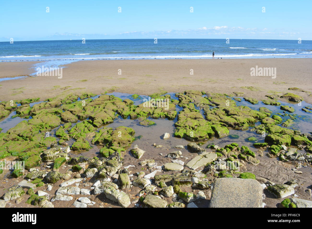 Pomeriggio Passeggiata a Filey spiaggia in luglio. Foto Stock